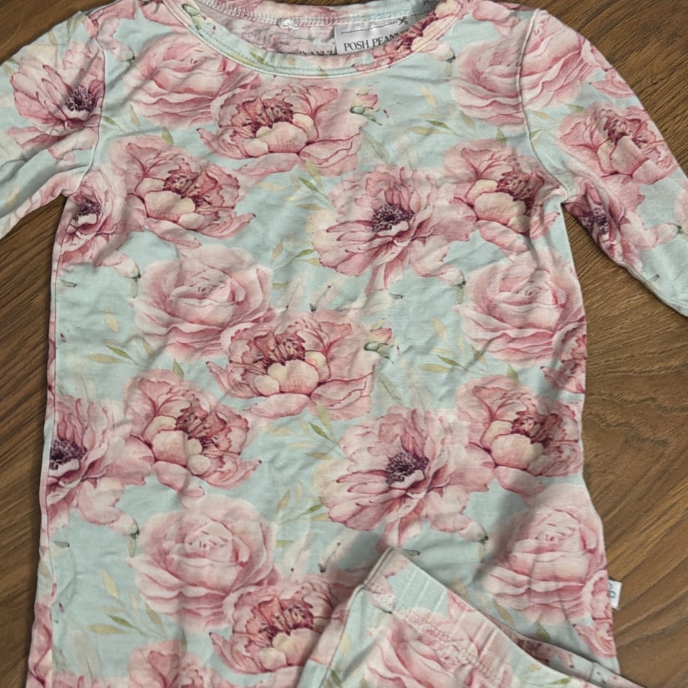 Posh Peanut Toddler Girls Sz 2T Light Floral Roses Bamboo 2pc Pajamas Pants Top - Picture 2 of 6